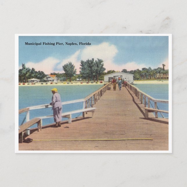 Vintage Naples, Florida Postcard (Front)