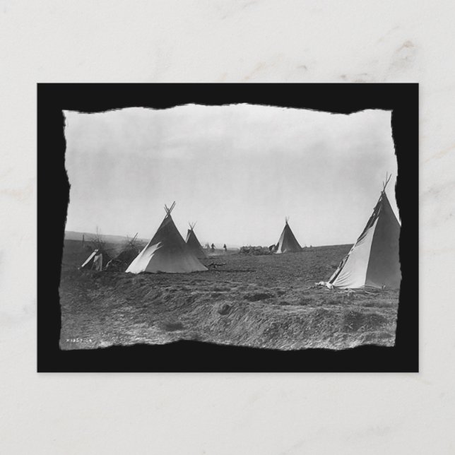 Vintage Native American Apache Tipis Postcard (Front)