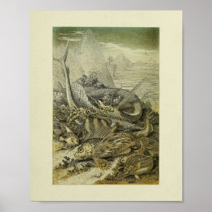 Vintage Natural History Fish Illustration Art Prin Poster