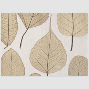 Vintage Naturalist Botanical Drawing   Leaves 1858 Tissue Paper