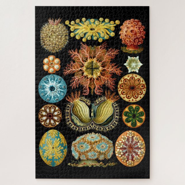 Vintage Nautical Ascidiae by Ernst Haeckel Jigsaw Puzzle (Vertical)