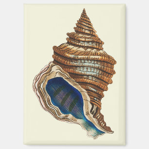 Vintage Nautical George Shaw Blue Conch Shell Art Magnet