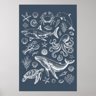 Vintage Nautical Marine Life Illustration Poster