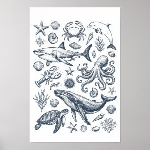 Vintage Nautical Marine Life Illustration Poster