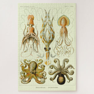 Vintage Nautical Octopus by Ernst Haeckel Jigsaw Puzzle
