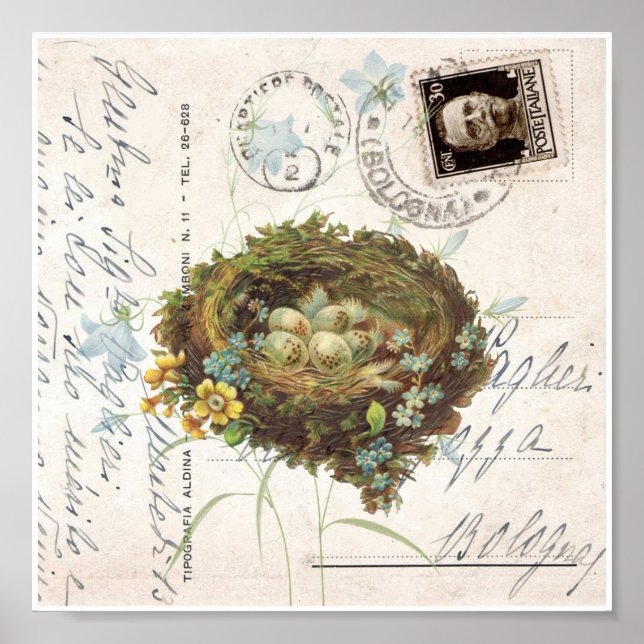 Vintage Nest Flowers Italian Postcard Art Print (Front)