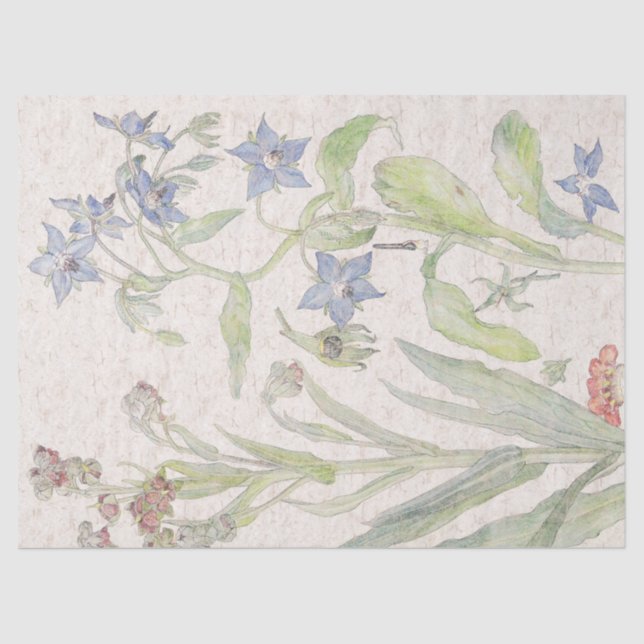 Vintage Nettle Wildflower Flowers Tissue Paper (Front)