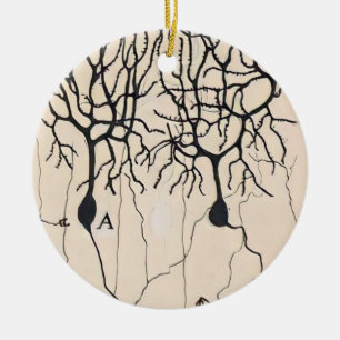 Vintage Neuron Drawing By Santiago Ramón y Cajal Ceramic Tree Decoration