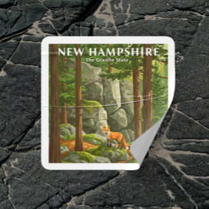 Vintage New Hampshire Square Sticker