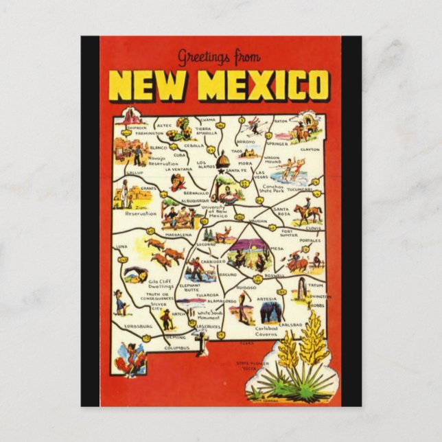 Vintage New Mexico  Postcard (Front)