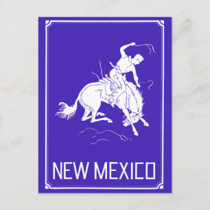 Vintage New Mexico Postcard