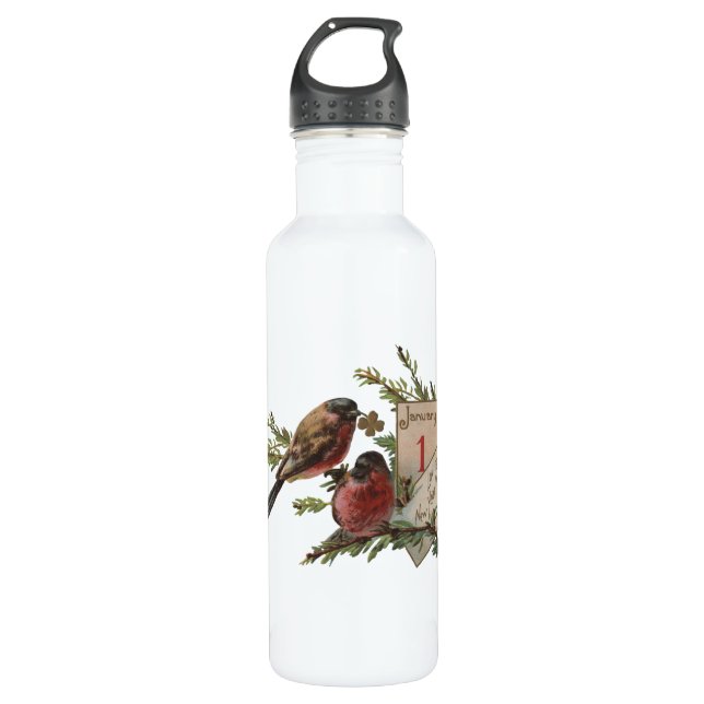 Vintage New Years Birds 710 Ml Water Bottle (Front)