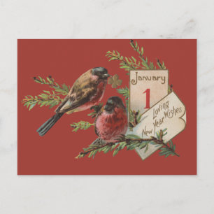 Vintage New Years Birds Holiday Postcard