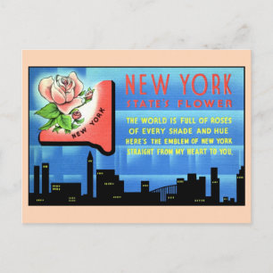 Vintage New York State Flower and love poem travel Postcard