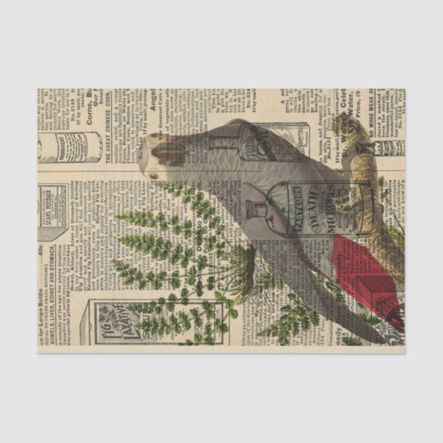 Vintage Newsprint Parrot Tissue Paper (Front)
