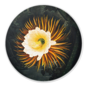 Vintage Night-Blowing Cereus Gothic Art Ceramic Knob