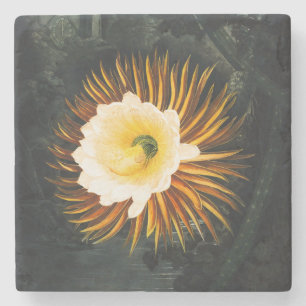 Vintage Night-Blowing Cereus Gothic Art Stone Coaster