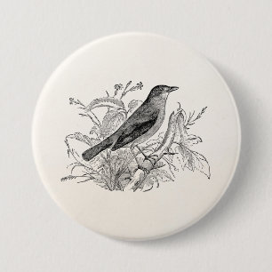Vintage Nightingale Bird Personalised Retro Birds 7.5 Cm Round Badge