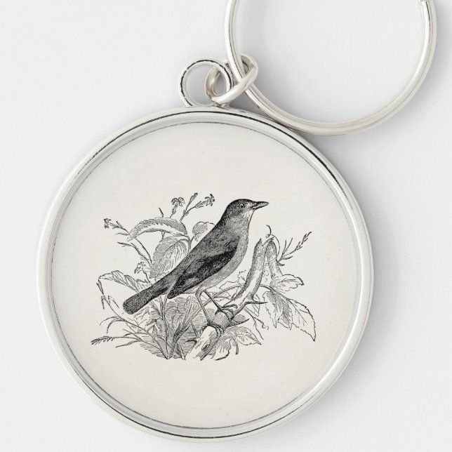 Vintage Nightingale Bird Personalised Retro Birds Key Ring (Front)