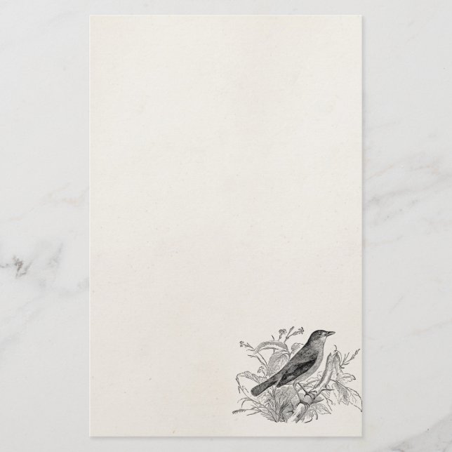 Vintage Nightingale Bird Personalised Retro Birds Stationery (Front)