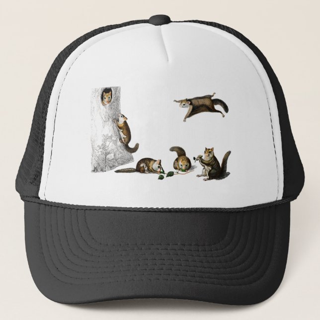 Vintage northern flying squirrel trucker hat (Front)