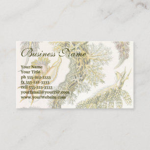 Vintage Nudibranchia, Sea Slugs by Ernst Haeckel Business Card