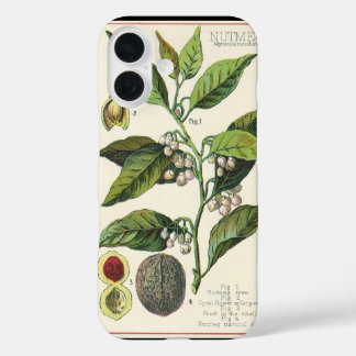 Vintage Nutmeg Plant Fruit Seeds, Food Herbs Spice iPhone 16 Case