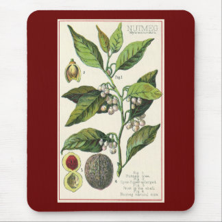 Vintage Nutmeg Plant Fruit Seeds, Food Herbs Spice Mouse Pad