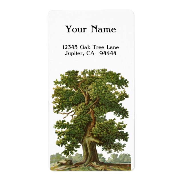 Vintage Oak Tree Custom Address Label (Front)