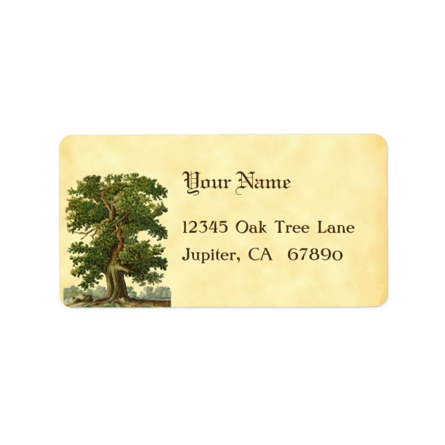 Vintage Oak Tree Custom Address Labels (Front)