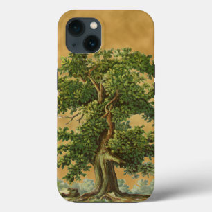 Vintage Oak Tree on Faux Parchment iPhone Case