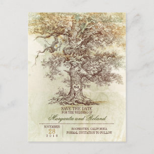 vintage oak tree save the date postcards