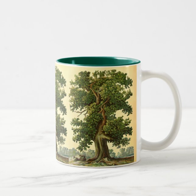 Vintage Oake Trees on Faux Parchment Coffee Mug (Right)
