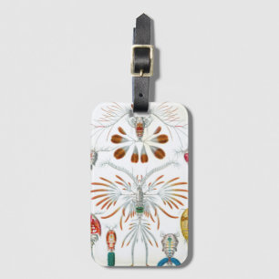 Vintage Ocean Animals, Copepoda by Ernst Haeckel Luggage Tag