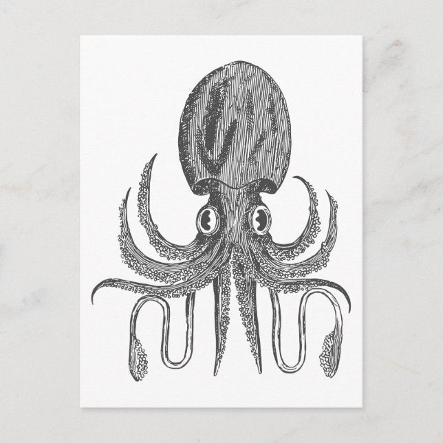 Vintage Octopus Drawing in Black and White Postcard (Front)
