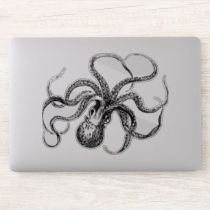Vintage Octopus Illustration