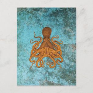 Vintage Octopus Illustration on Turquoise Postcard