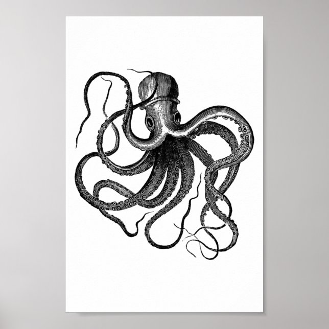 Vintage Octopus Illustration Poster (Front)