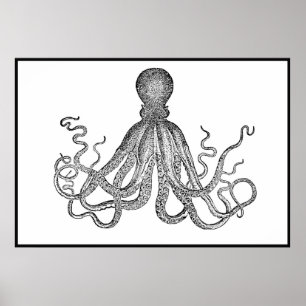 Vintage Octopus In White And Black Poster