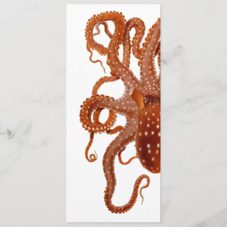 vintage octopus invitation