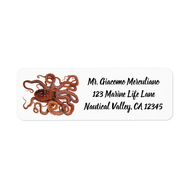 Vintage Octopus Macropus, Marine Aquatic Animals (Front)