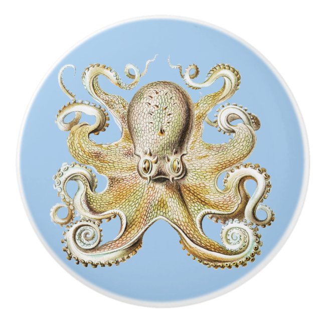 Vintage Octopus Marine Life illustration Ceramic Knob (Front)