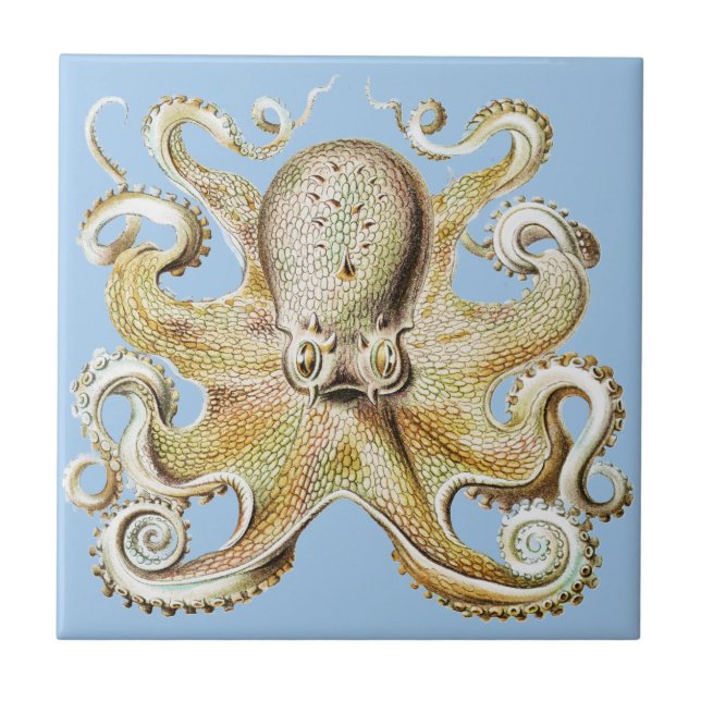 Vintage Octopus Marine Life illustration Tile (Front)