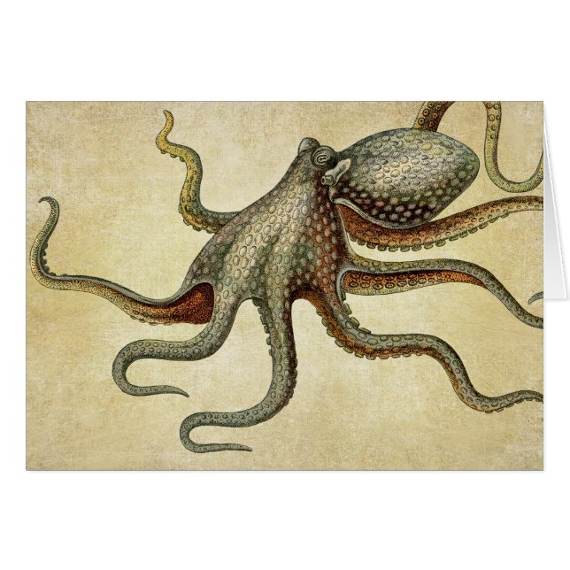 Vintage Octopus Nautical Sea Life (Front Horizontal)