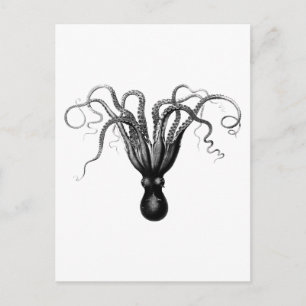VINTAGE OCTOPUS POSTCARD