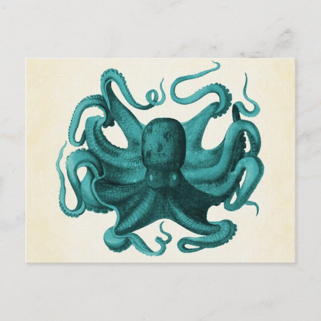 Vintage Octopus Postcard (Front)