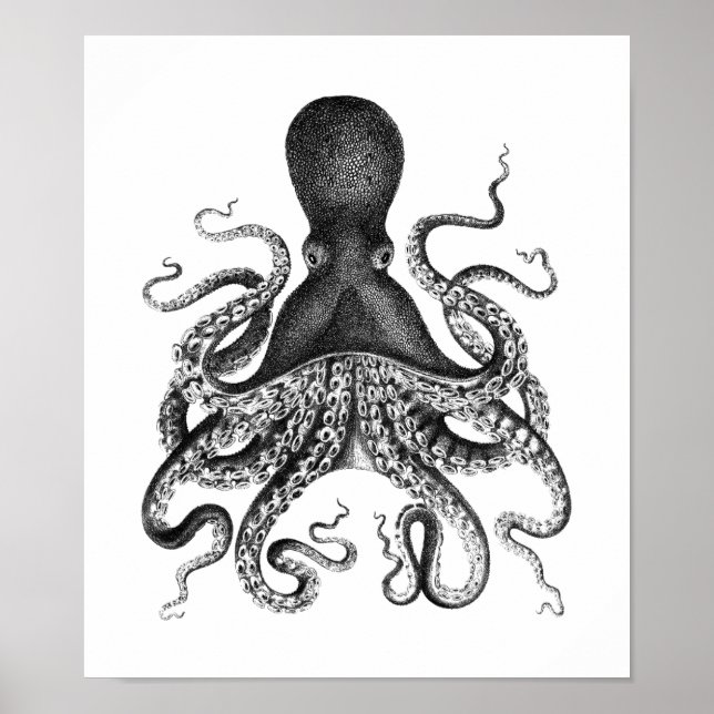 Vintage Octopus Poster (Front)