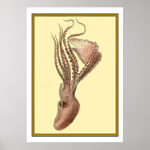 Vintage Octopus Poster