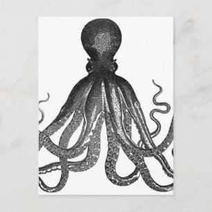 Vintage Octopus Sea Ocean Animal Postcard