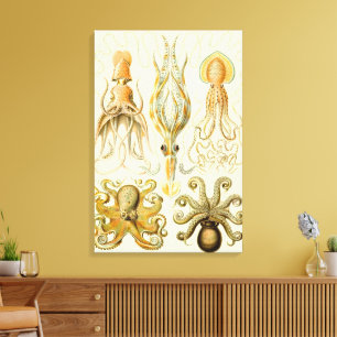 Vintage Octopus Squid Gamochonia by Ernst Haeckel Canvas Print